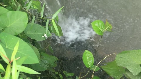 Falling water Stock Footage 253407916