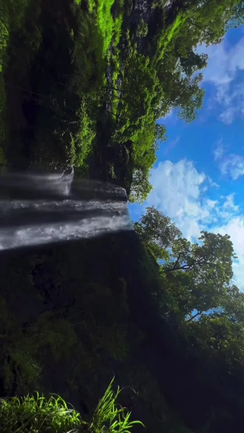 Falling water 스톡 동영상 332268496