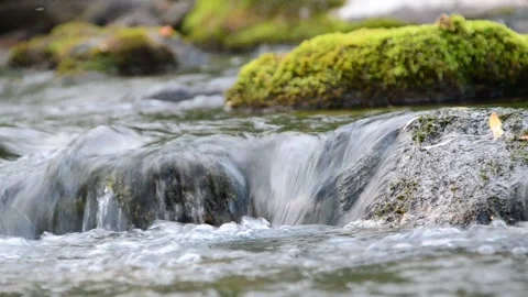 Falling water in the morning mist. Stock Footage 160137867
