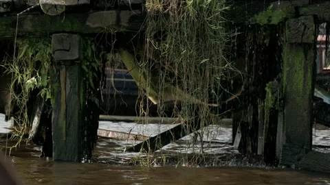 Falling water, wild growing grass and weeds under wood deck Stock Footage 134291982