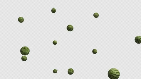Falling watermelons over alpha channel. Rain of watermelons Stock Footage 236725085