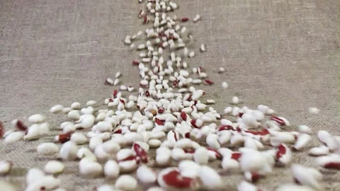 Falling white beans Stock Footage 305854888