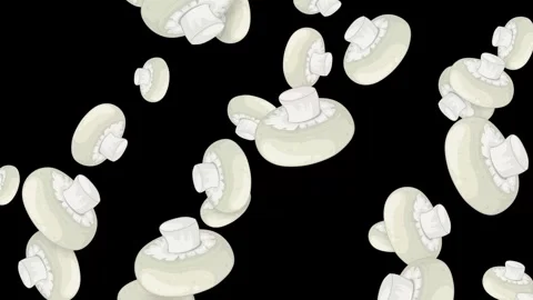 Falling White Button Mushrooms Animation on Black Background Stock Footage 342237660