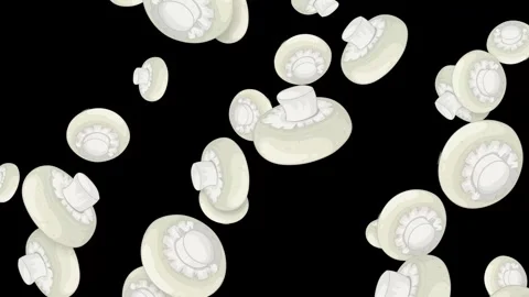 Falling White Button Mushrooms Animation on Isolated Black Background Stock Footage 342471156