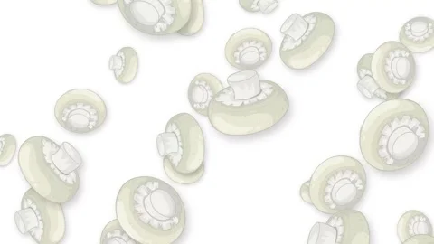 Falling White Button Mushrooms Animation on Plain White Background Stock Footage 344377284