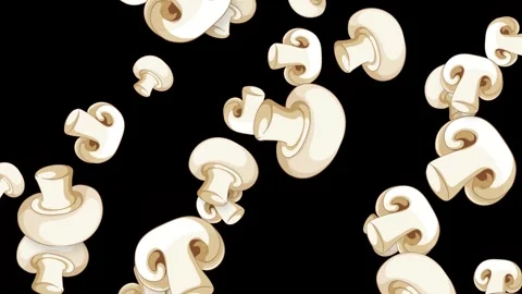 Falling White Button Mushrooms Animation on Black Background Stock Footage 345118038