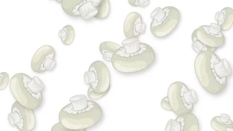 Falling White Button Mushrooms Animation on Isolated White Background Stock Footage 345317240