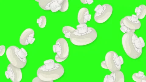 Falling White Button Mushrooms Animation on Green Screen Background Stock Footage 345703641