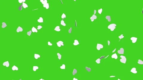 Falling white hearts on a chroma key background. Stock Footage 182540504