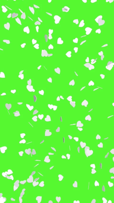 Falling white hearts on a green screen. 3D rendering of animation. Stock Footage 278507829