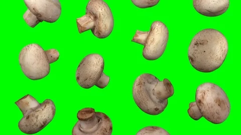 Falling White Mushrooms on Green Background (Looping) Stock Footage 92807623