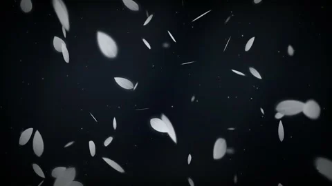 Falling White Petals and Glowing Particles Loop Vídeo Stock 345315058