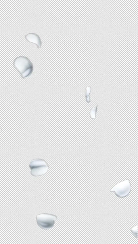 Falling White Rose Petals with Transparent Background Vertical Stock Footage 331313461