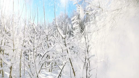 Falling white snow from branches. Stock Footage 125480702