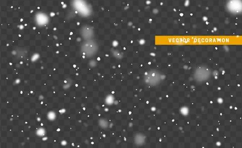 Falling white snow on transparent background. Texture winter snowflakes. Stock Illustration