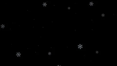 Falling White Snowflakes on Black Background Video stock 341708527