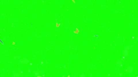 Falling white snowflakes overlay isolated on a bright green screen chroma key Stock Footage 343909616