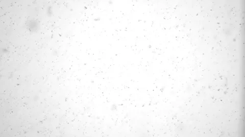 Falling white snowflakes in real time. Loop. 库存影片 259282143