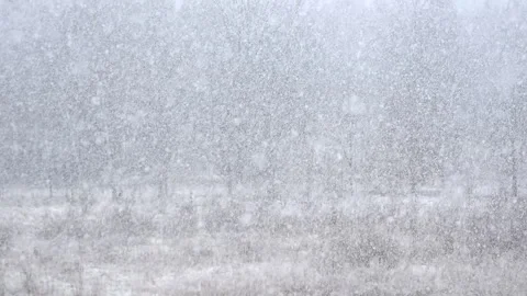 Falling white snowflakes in real time. Loop. 스톡 동영상 259295667