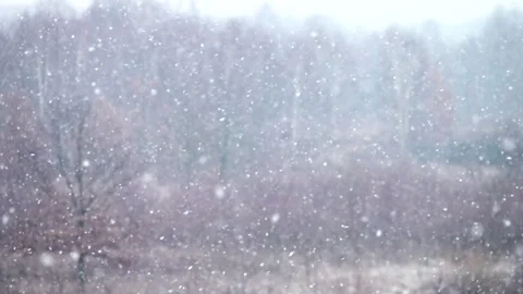 Falling white snowflakes in slow motion, trees in background. Calm scene. Stock Footage 254069875