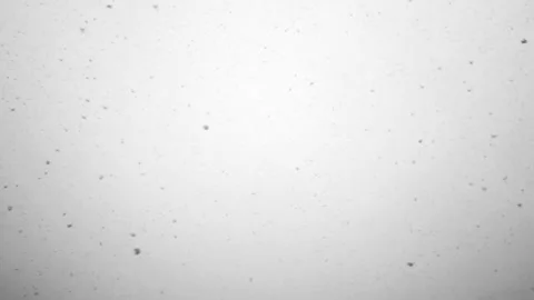 Falling white snowflakes in slow motion. Calm scene. 스톡 동영상 254070040