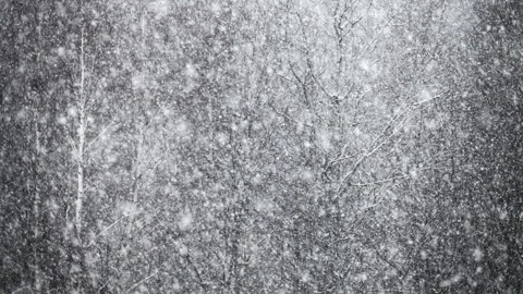 Falling white snowflakes in slow motion, trees in background. Calm scene. 스톡 동영상 254070077
