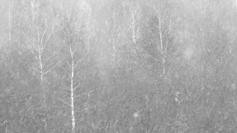 Falling white snowflakes in slow motion. Stock Footage 258141752