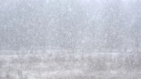 Falling white snowflakes in slow motion. Loop. 스톡 동영상 258595025