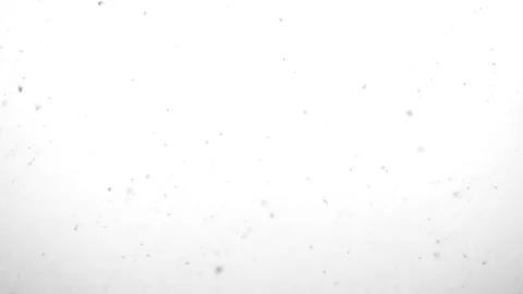 Falling white snowflakes in slow motion. Loop. Stock Footage 259281901