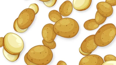 Falling Whole and Sliced Potatoes Animation on White Background Stock Footage 345317178