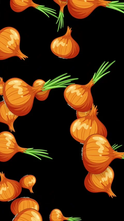 Falling Whole Brown Onions Animation on Black Background Stock Footage 342471163