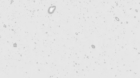 Falling winter snow, seamless loopable background footage. Embedded alpha c.. Stock Footage 320973402