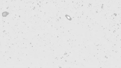 Falling winter snow, seamless loopable background footage. Embedded alpha c.. Stock Footage 322697713