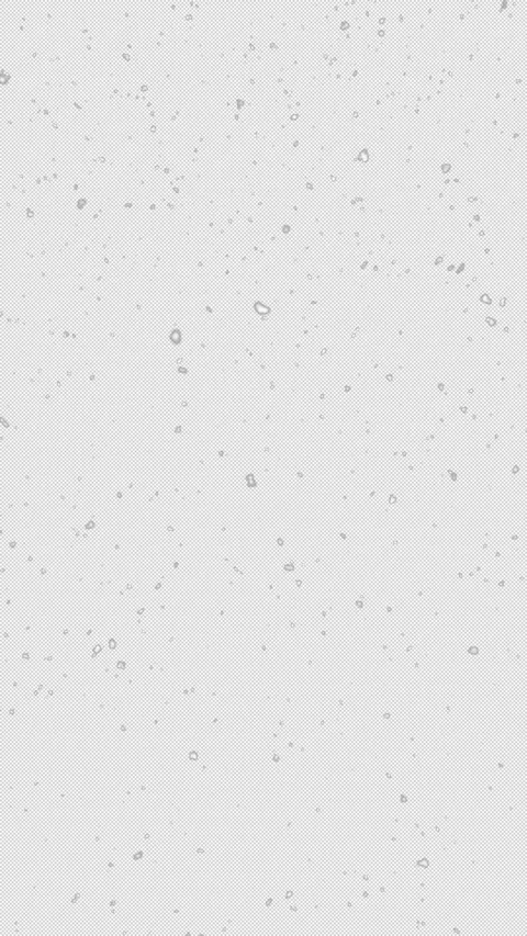Falling winter snow, seamless loopable background footage. Embedded alpha c.. Stock Footage 345685182