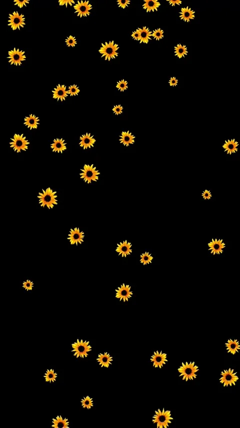 Falling yellow daisy flowers vertical motion graphics with black background Stock Footage 293276376