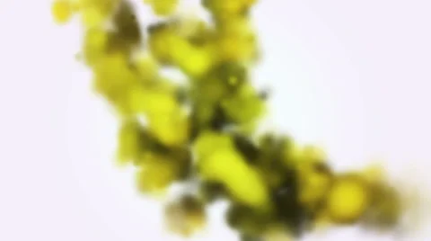 Falling yellow ink into water on a white background Stock Footage 64730697