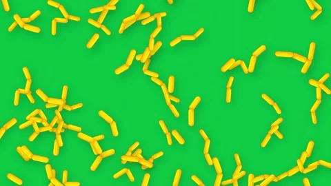 Falling Yellow Rod Shaped Bacteria Animation on Green Background Stock Footage 340194577