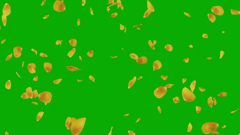 Falling yellow rose petals on green screen background animation Stock Footage 331766313