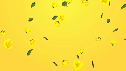 Falling Yellow roses motion background Stock Footage 89032356