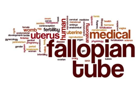 Fallopian tube word cloud Stock Illustration