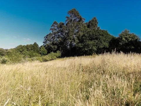 Fallow Field-06969 Stock Photos