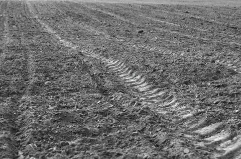 Fallow field Stock Photos