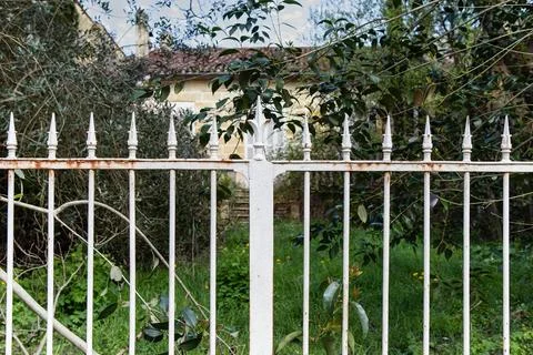 Fallow garden of an empty house Stock Photos