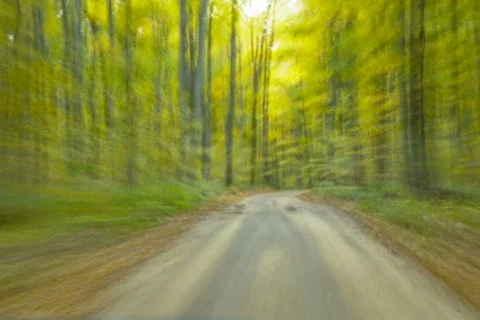  fallRd TL2s dv Stock Footage 278510