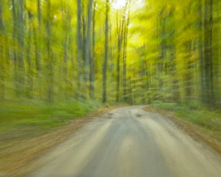  fallRd TL2s pal Stock Footage 278513