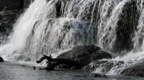 Falls and Log Close Stock Footage 1105024