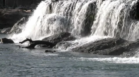 Falls and Log Stock Footage 1104997