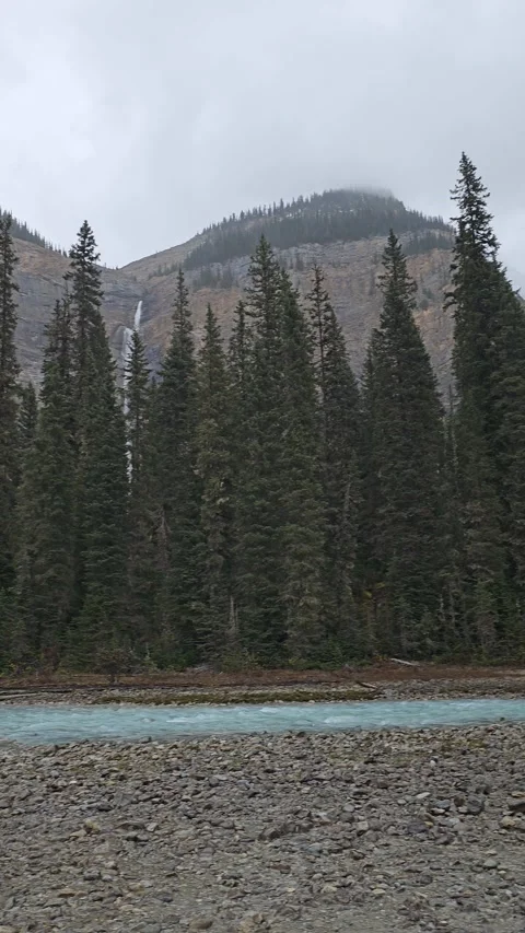 Falls and Stream 3 動画素材 295958824