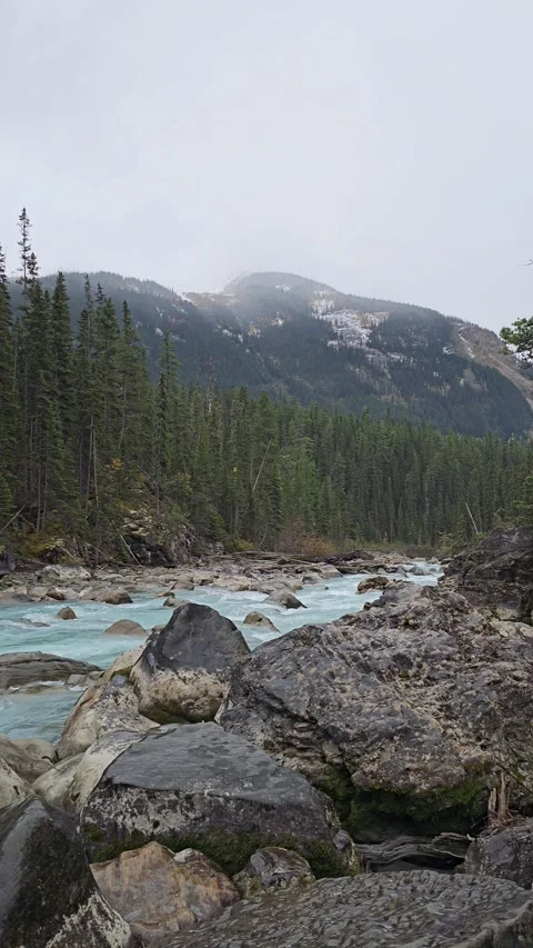 Falls and Stream 動画素材 295897988