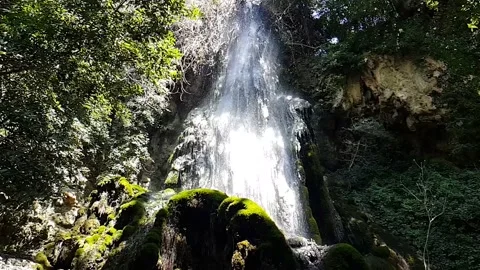 Falls in Aymerich Park Stock Footage 202087743